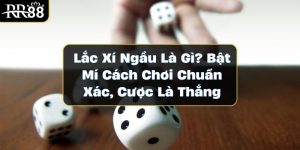 Lắc Xí Ngầu Là Gì? Bật Mí Cách Chơi Chuẩn Xác, Cược Là Thắng