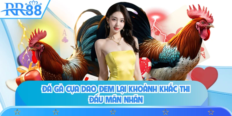 Đá gà cựa dao đem lại khoảnh khắc thi đấu mãn nhãn