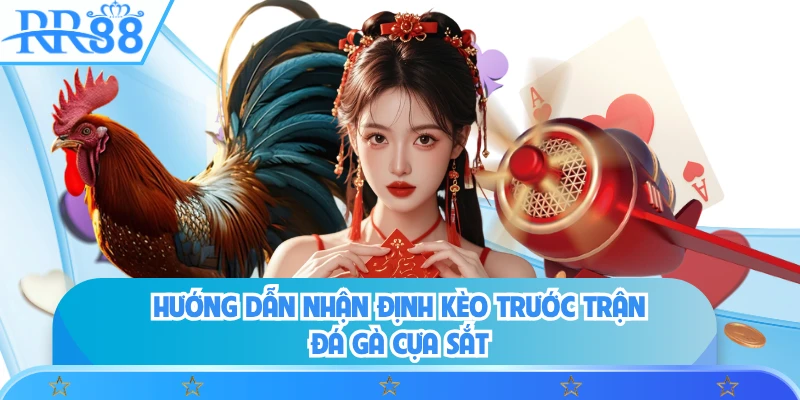 Hướng dẫn nhận định kèo trước trận đá gà cựa sắt